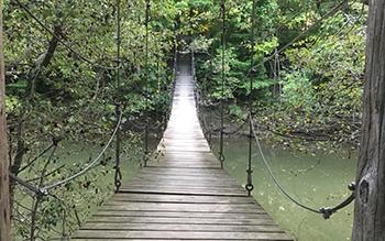 摇摆桥——自然保护区